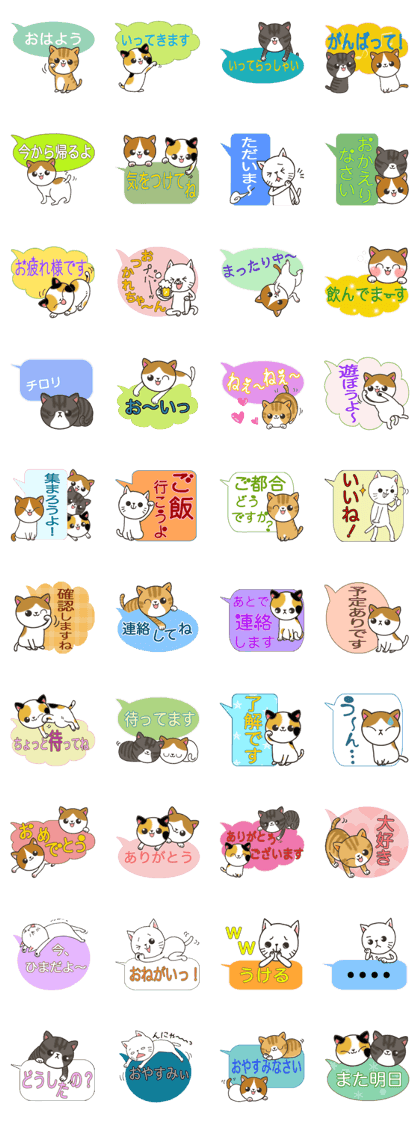 Today's cats
