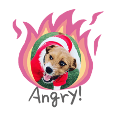 yukari_20200702205800