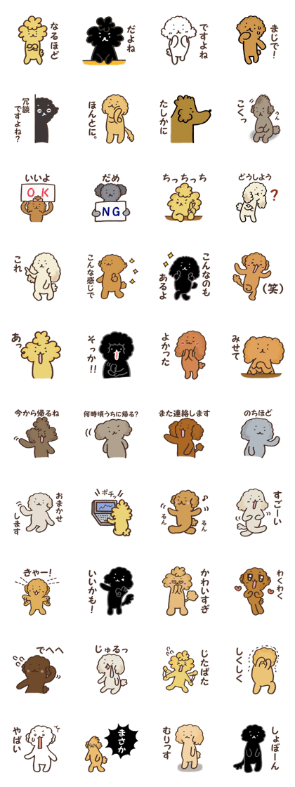 The toy-poodles
