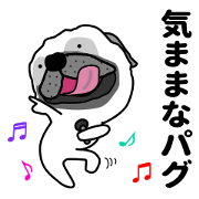 Unrestrained pug