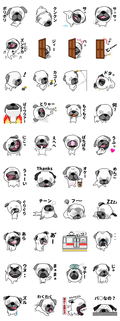 Unrestrained pug