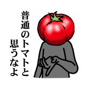 TOMATO 120%