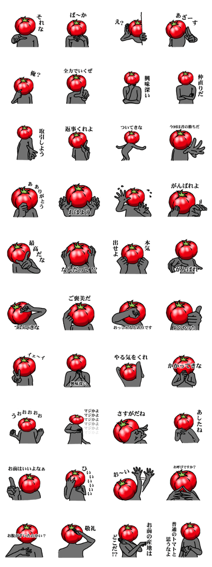 TOMATO 120%