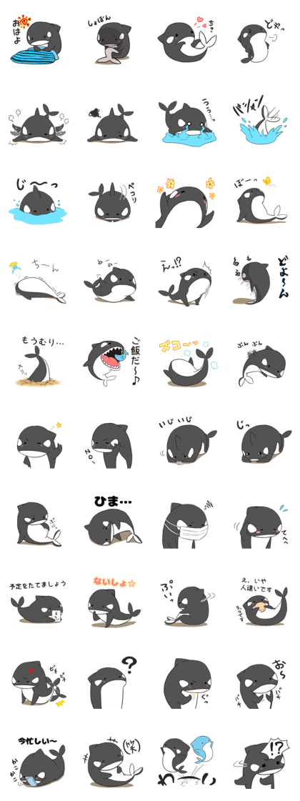 Of killer whales, Shatchi