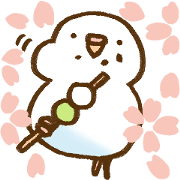Budgie 6