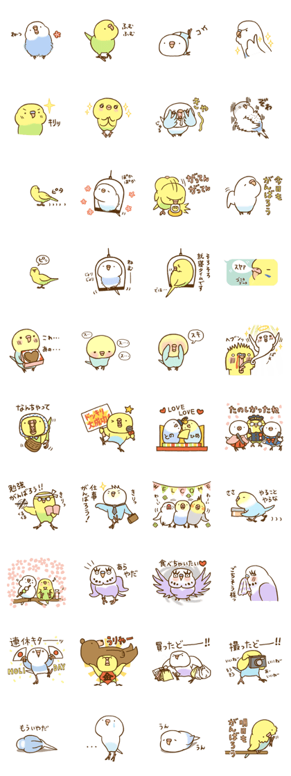 Budgie 6
