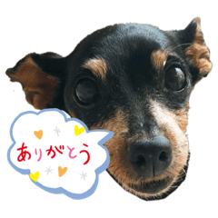chie_20200702232035