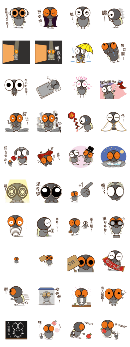 Flies diary 2