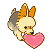 Happy Yorkshire terrier