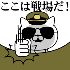 Military cat 2