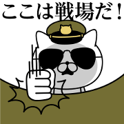 Military cat 2