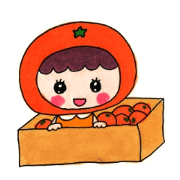seiyokko desu