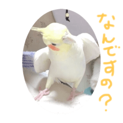 smile_20200702172854