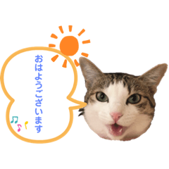 chie_20200702172853
