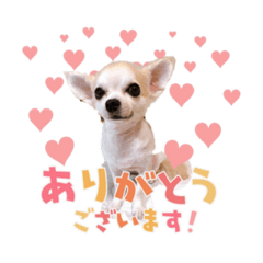 ayumi_20200702201210