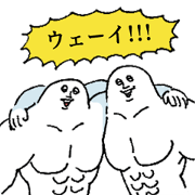 Macho Boys