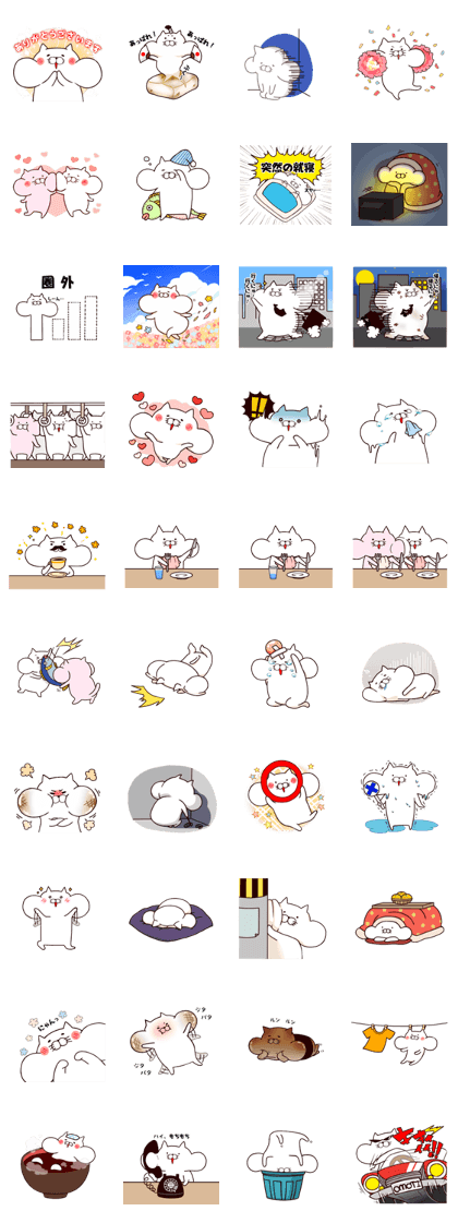 Omochi cat daily