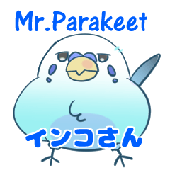 English netslanger Mr.Parakeet