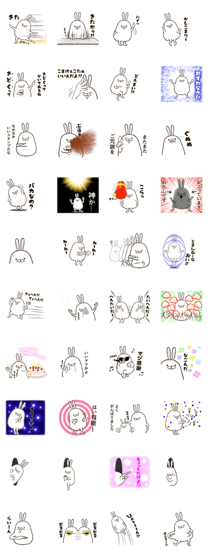 FAT RABBIT - playful 2