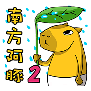 Southern Capybara -Work life (taiwan)