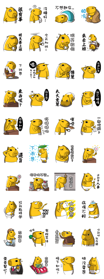 Southern Capybara -Work life (taiwan)