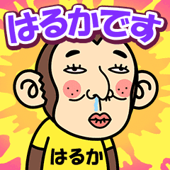 Haruka is a Funny Monkey2