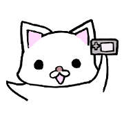 Nyanko everyday in the game