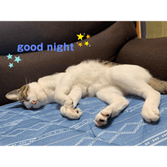 mimi_20200702230649