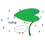 Call ducks