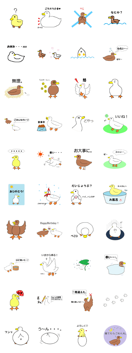 Call ducks