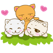 Three little "Chibi nora"