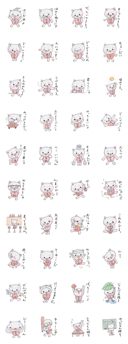 Positive cats