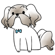 Coco is too cute!