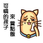 Acid Acid Cat