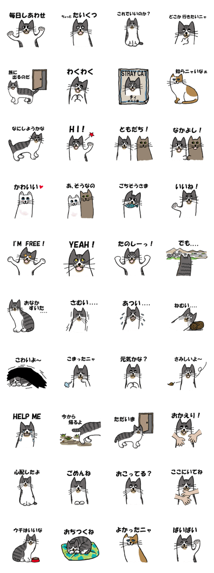 Story of a stray cat