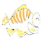 TAKANOHADAI