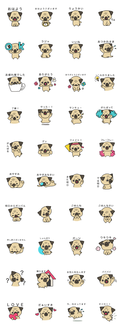 little pug dog