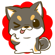 Japanese Black Shiba Inu tan 1