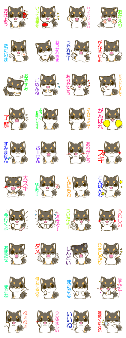 Japanese Black Shiba Inu tan 1