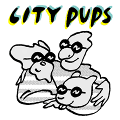 CITY PUPS