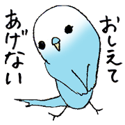 Lovable parakeet, Pal