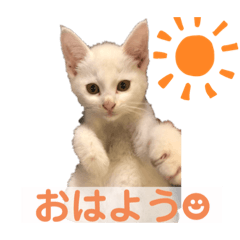 AYUMI_20200702215912