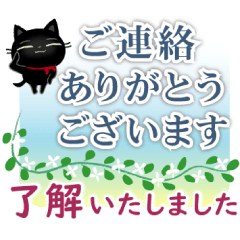 A kitten of a black cat2