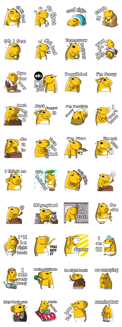 Southern Capybara -Work life