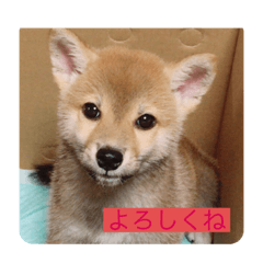 rina_20200703141157