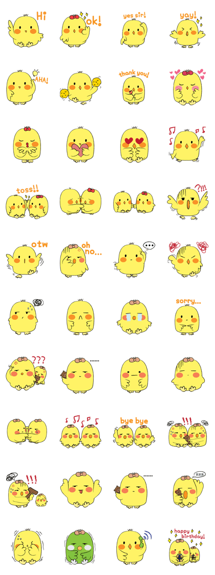 Chioo Family
