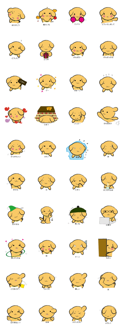 Golden Retriever.Name is COCO.