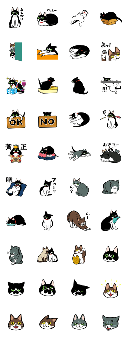 My cat says ...