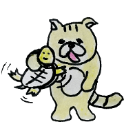 Whim cat Mar Mar&turtle
