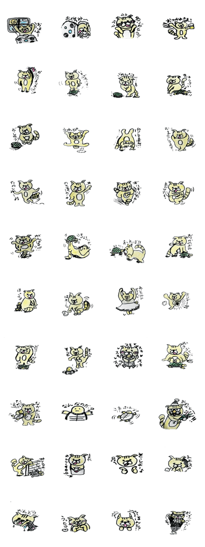 Whim cat Mar Mar&turtle